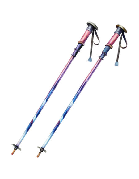 Walking Stick